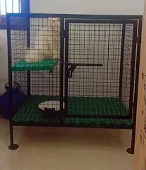 Cat Cage